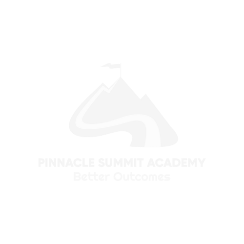 Pinnacle Summit Academy